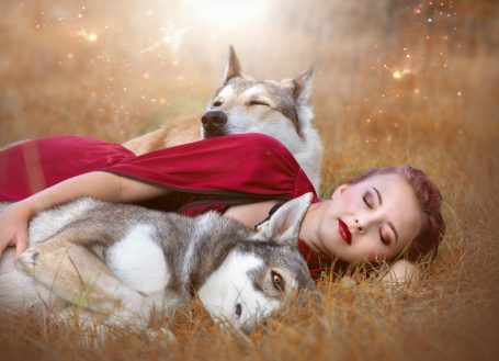 Wolfshundeshooting, Wolf, Wolfshund, Fotoshooting mit Wolfshund, TschechoslowakaischerWolfshund