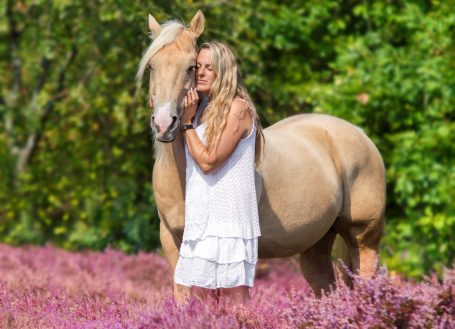 Pferdefotografie, Pferde Outdoor, Tierfotografie, Heide Shooting Pferd
